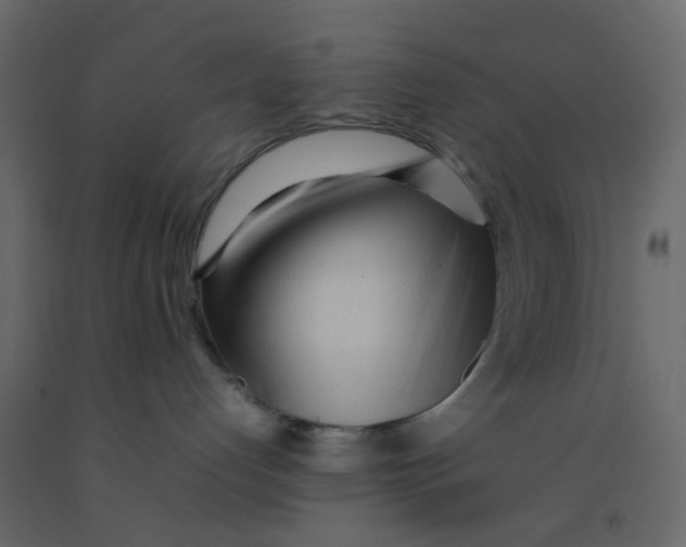 X0000092090192200710101109