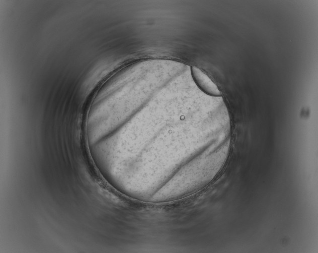 X0000092090194200710101108