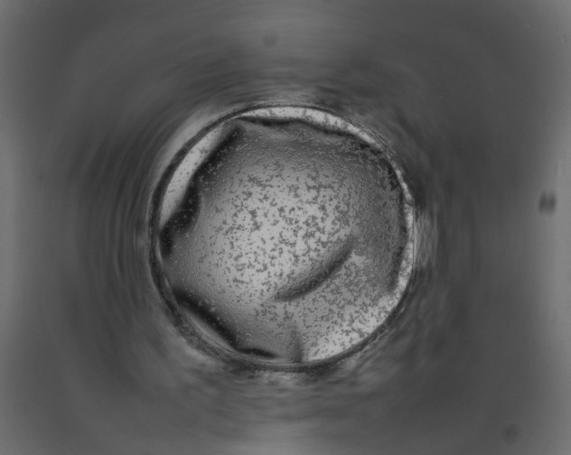 X0000092090195200710101108