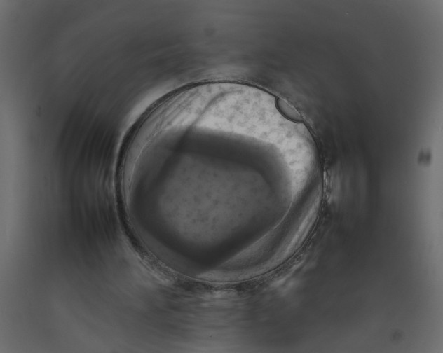 X0000092090196200710101108