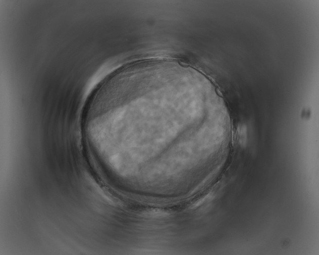 X0000092090198200710101108