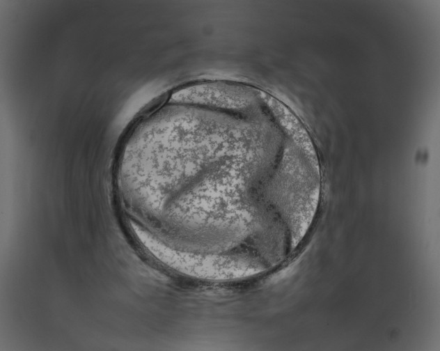 X0000092090199200710101108