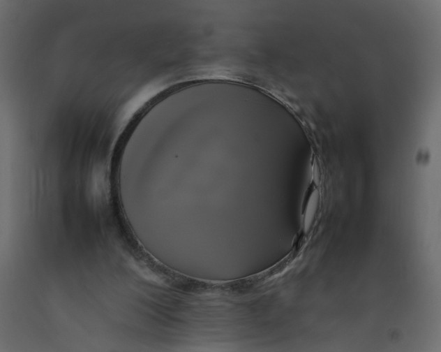 X0000092090200200710101108