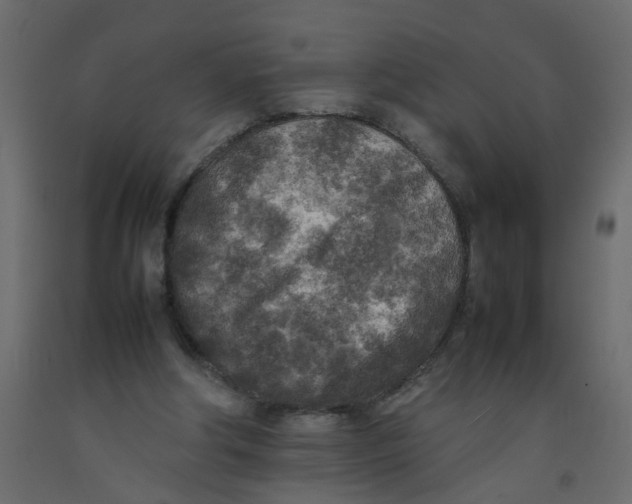 X0000092090202200710101108