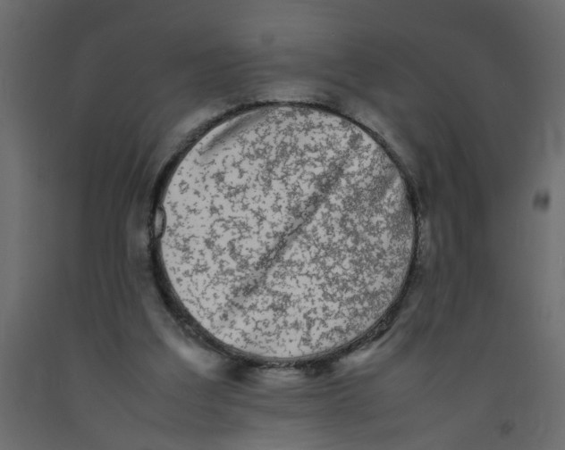 X0000092090203200710101108