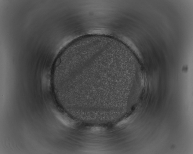 X0000092090204200710101108