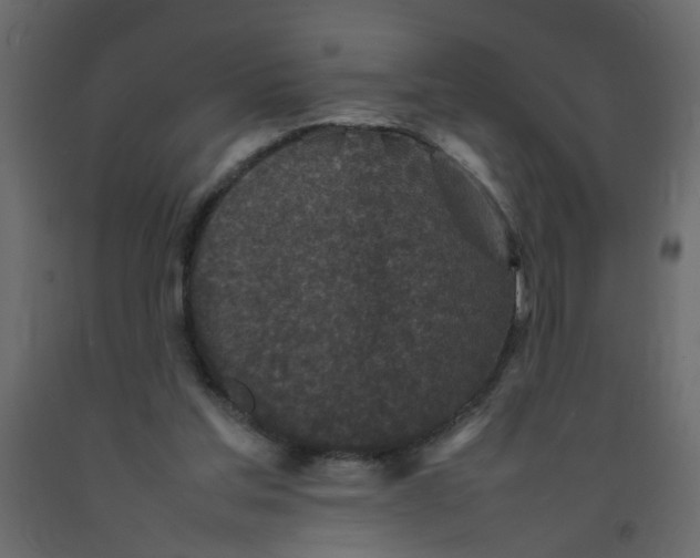 X0000092090205200710101108