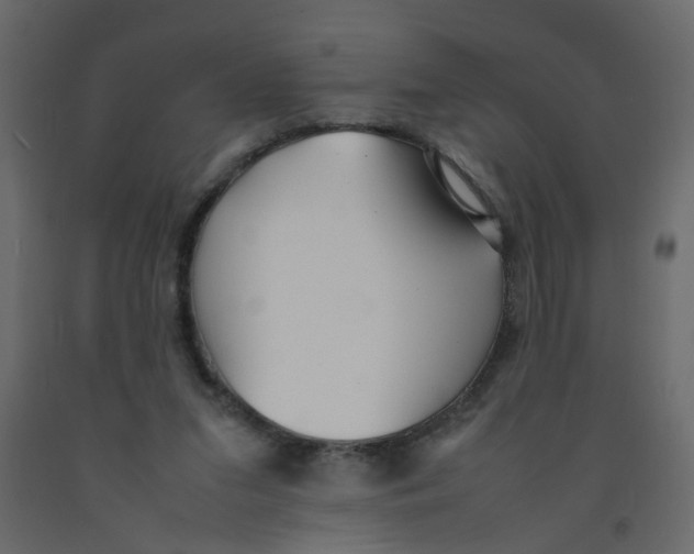 X0000092090207200710101108