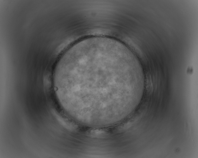 X0000092090208200710101108