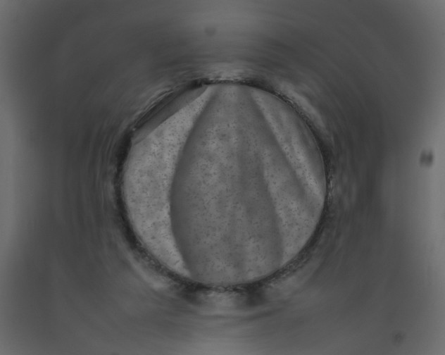 X0000092090209200710101108