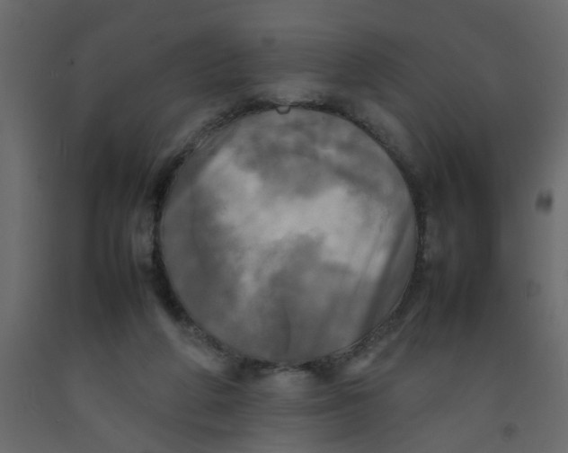 X0000092090210200710101108