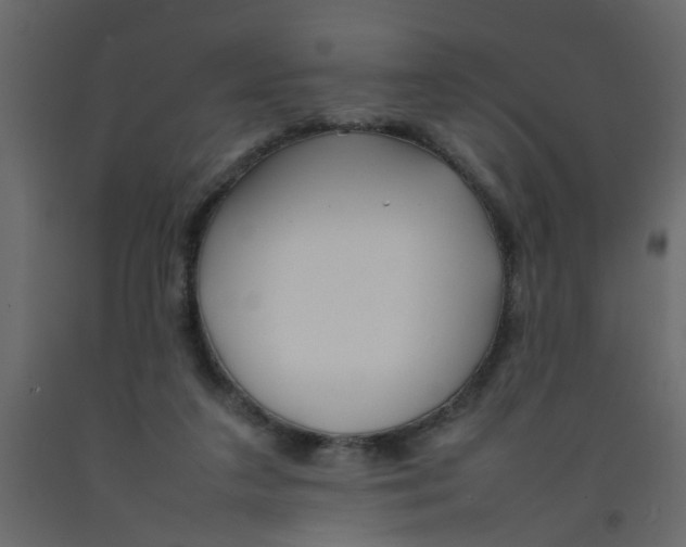 X0000092090211200710101108