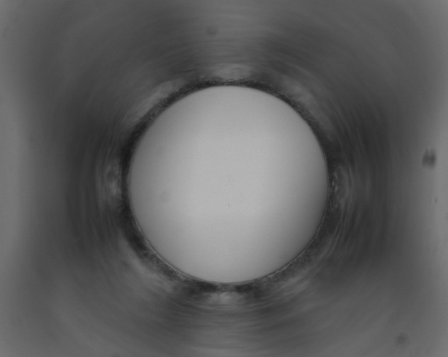 X0000092090212200710101108