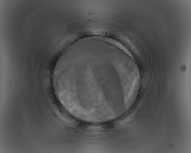 X0000092090213200710101108