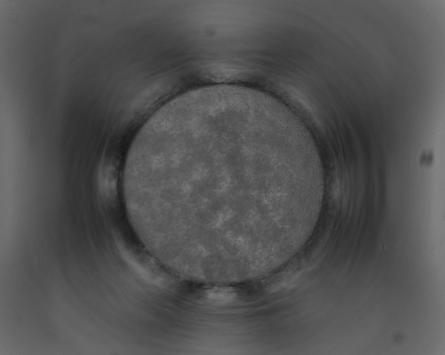 X0000092090214200710101108