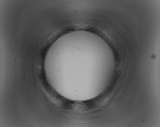 X0000092090215200710101108