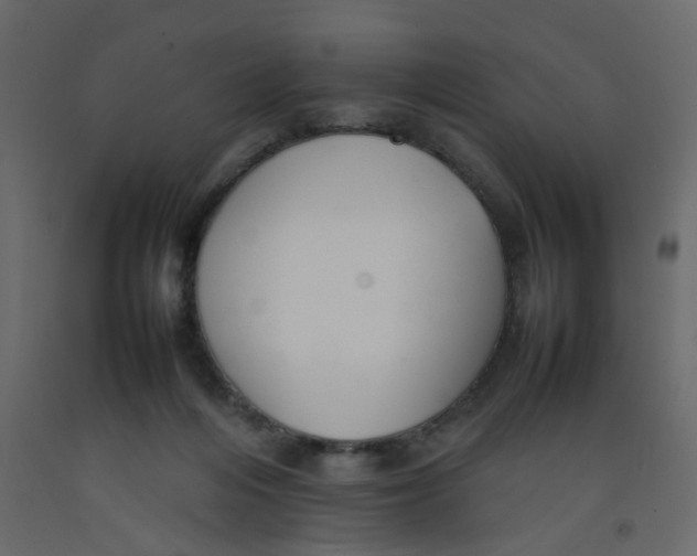 X0000092090216200710101108