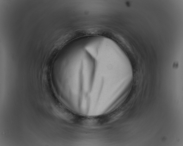 X0000092090217200710101108