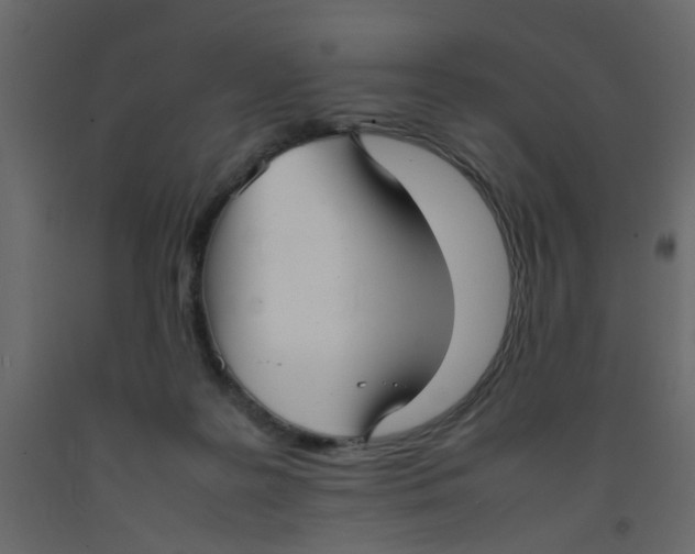 X0000092090219200710101108