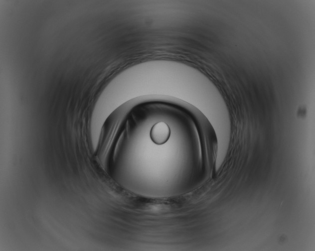 X0000092090220200710101108