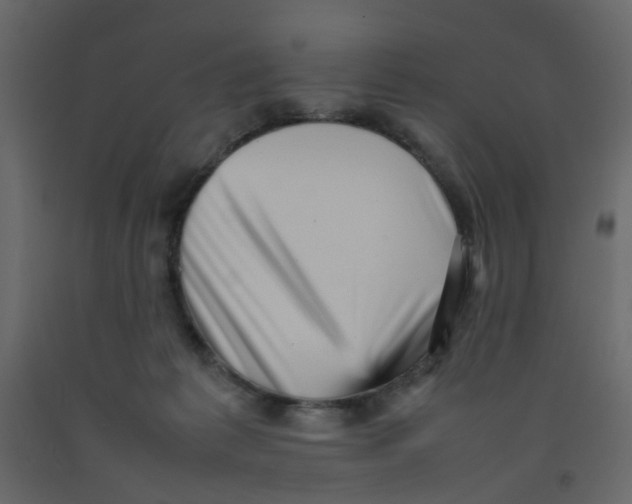 X0000092090221200710101108