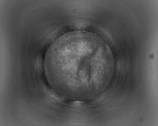 X0000092090222200710101108