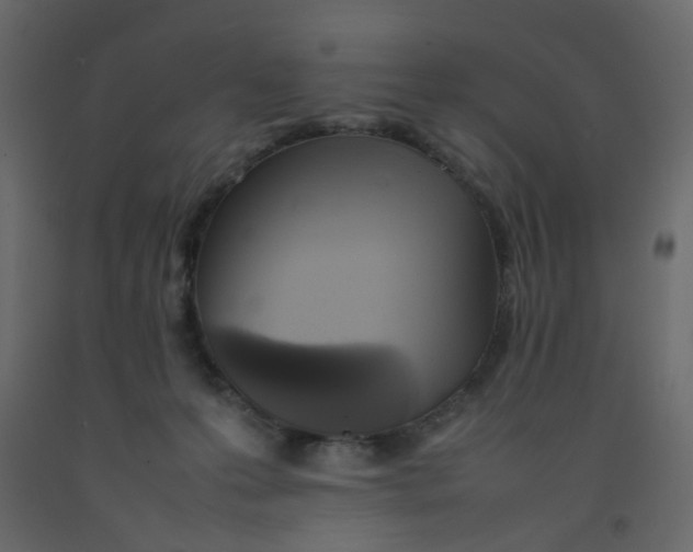 X0000092090223200710101108