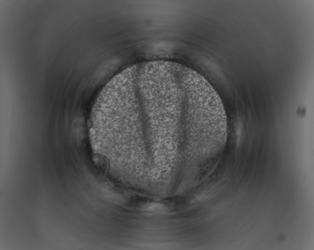 X0000092090224200710101108