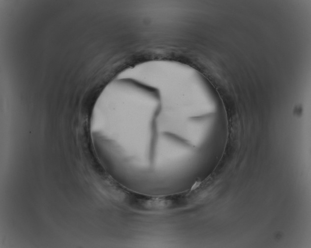 X0000092090225200710101108