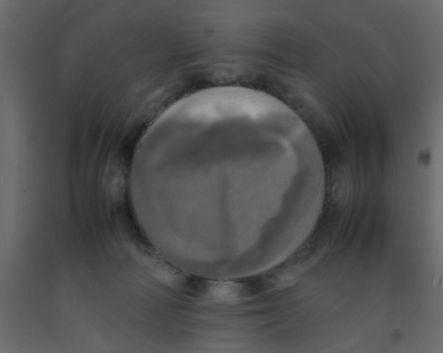 X0000092090226200710101108