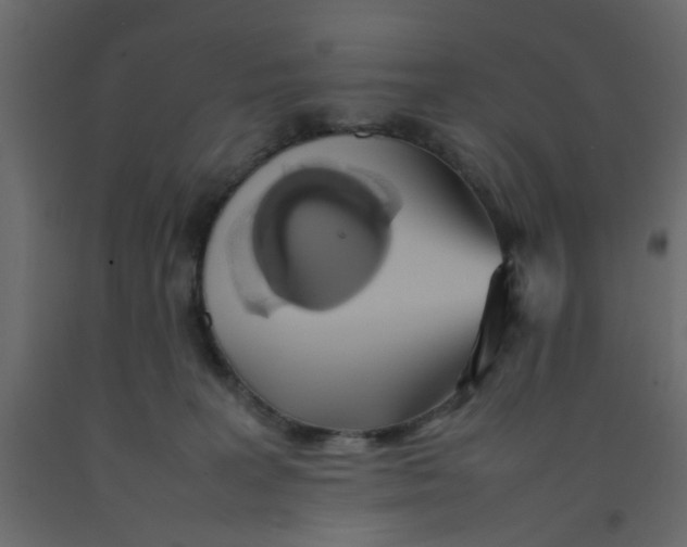 X0000092090227200710101108
