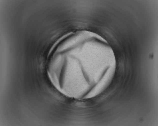 X0000092090228200710101108