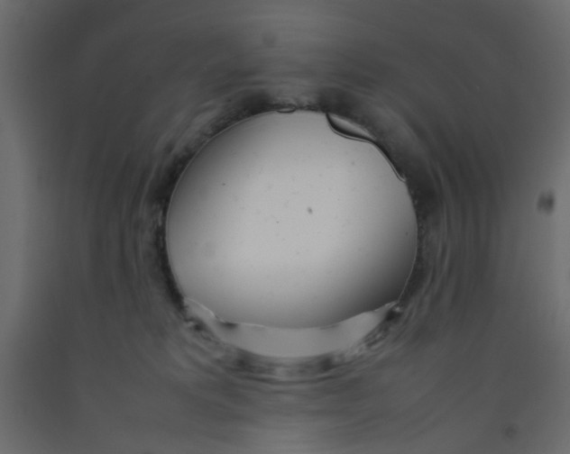 X0000092090229200710101108