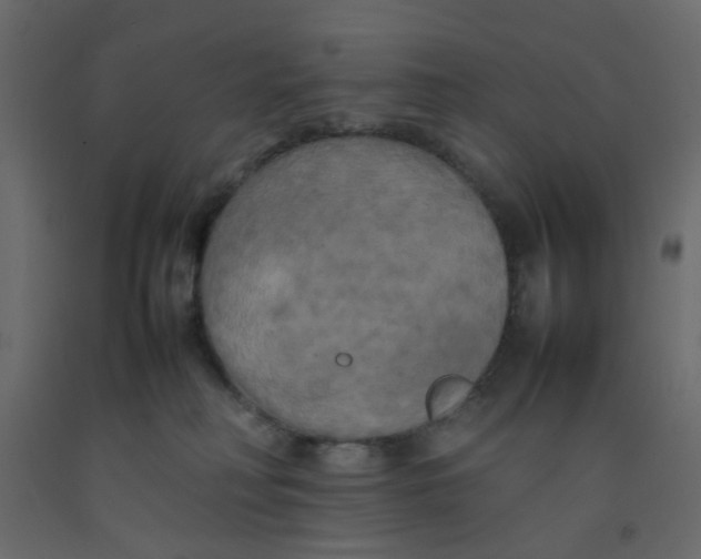X0000092090230200710101108