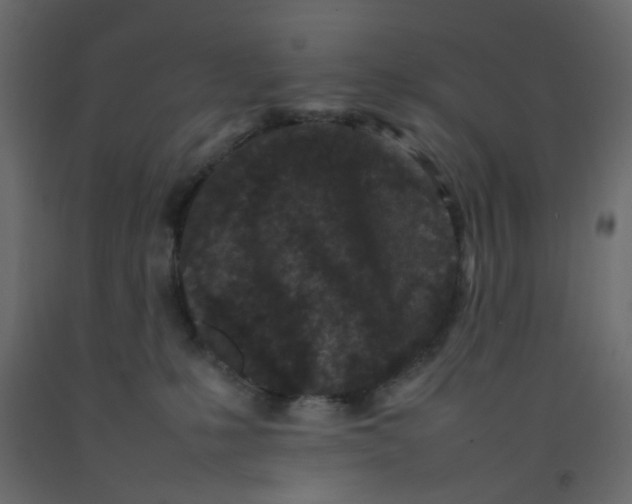 X0000092090231200710101108