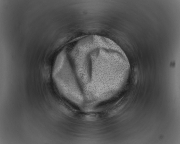 X0000092090232200710101108