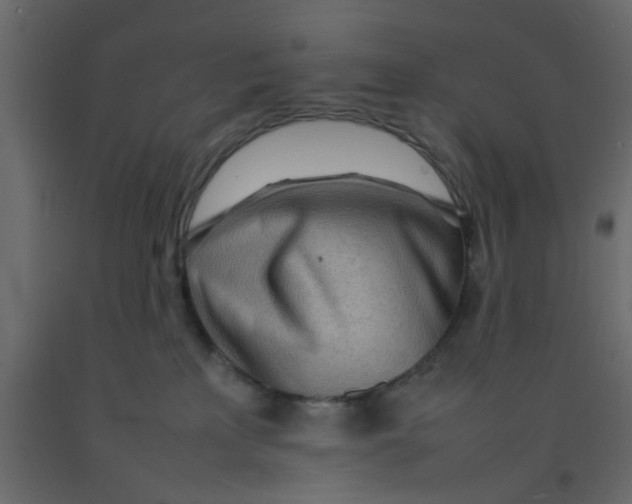 X0000092090233200710101107