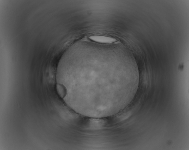 X0000092090234200710101107