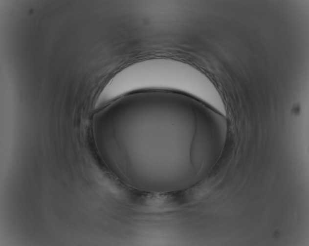 X0000092090235200710101107