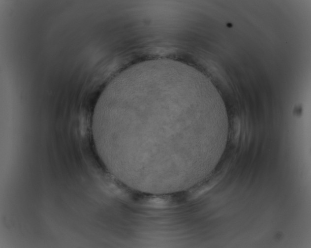 X0000092090236200710101107