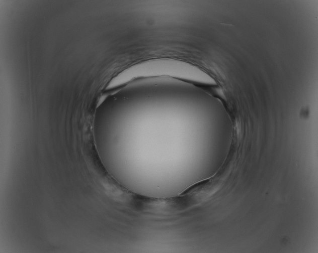 X0000092090237200710101107