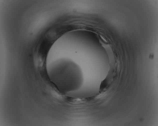 X0000092090239200710101107