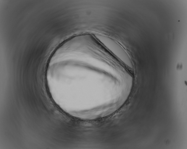X0000092090241200710101107