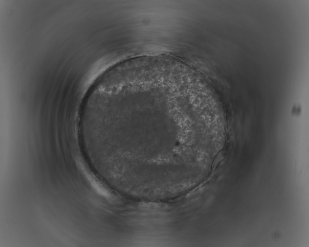 X0000092090242200710101107