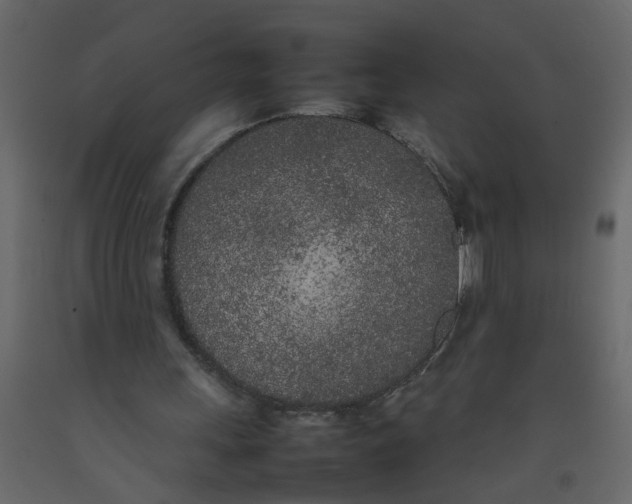 X0000092090243200710101107