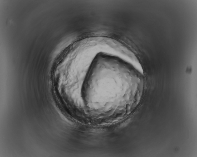 X0000092090245200710101107