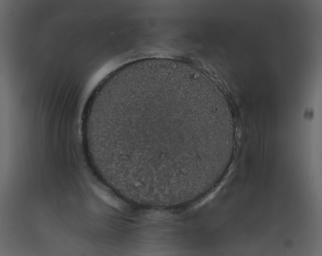 X0000092090246200710101107