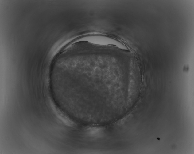 X0000092090247200710101107