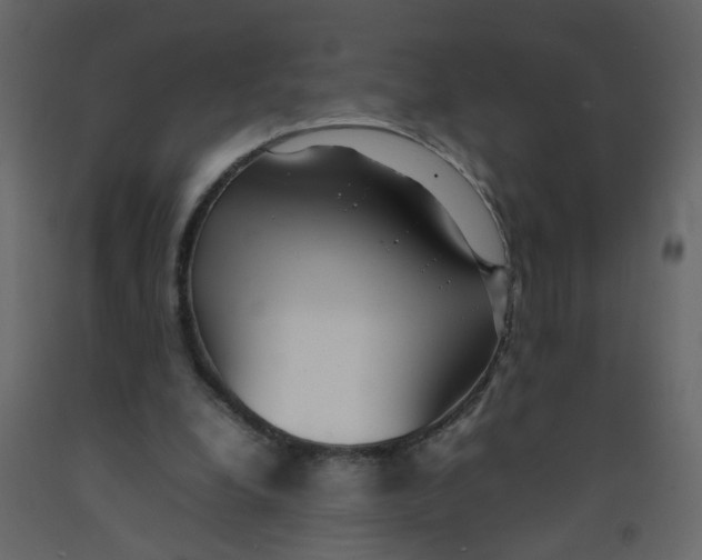 X0000092090248200710101107
