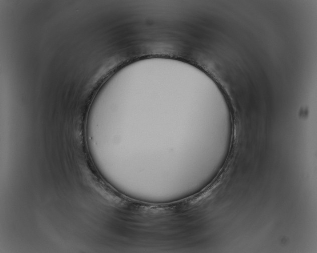 X0000092090249200710101107